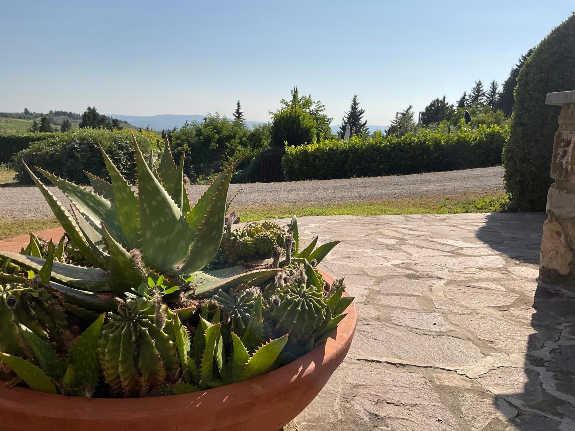 Villa Il Borraccio Tavarnelle Val di Pesa Εξωτερικό φωτογραφία
